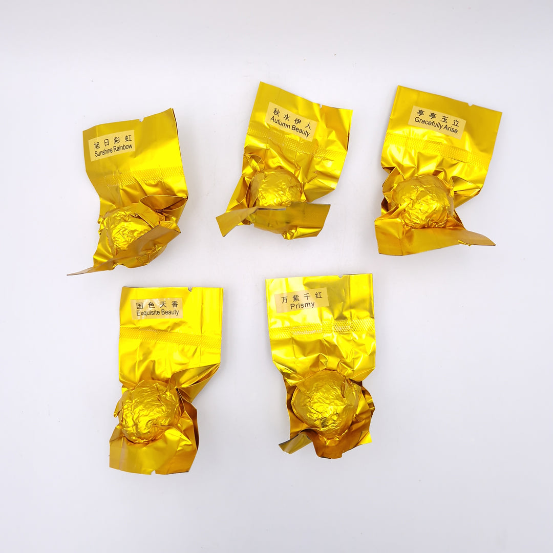 Mélange Découverte de Boules de Thé Vertes Fleurissantes