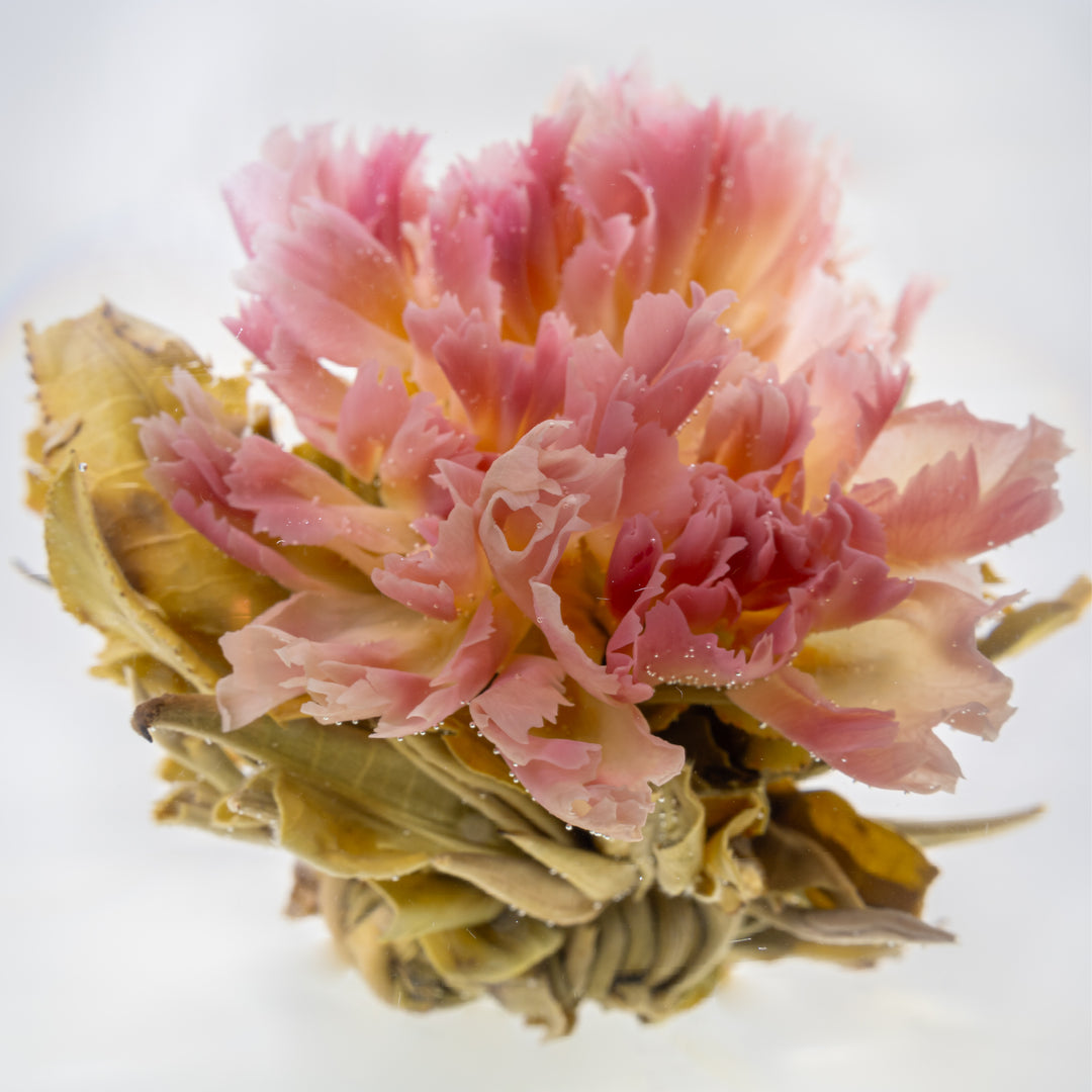 Mélange Découverte de Boules de Thé Vertes Fleurissantes