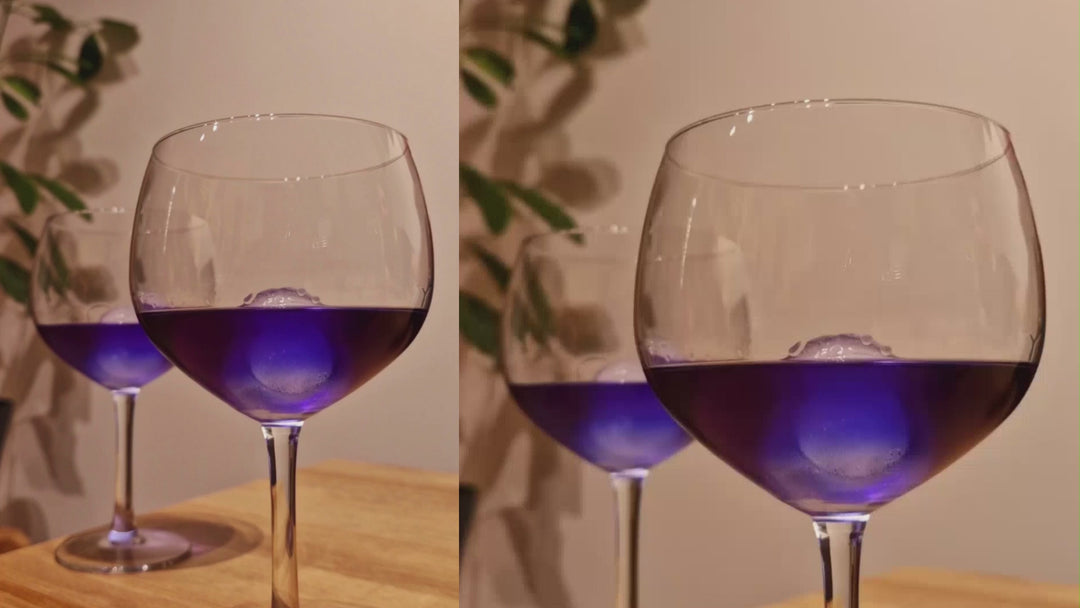 Fleurs de Pois-Papillon Séchées