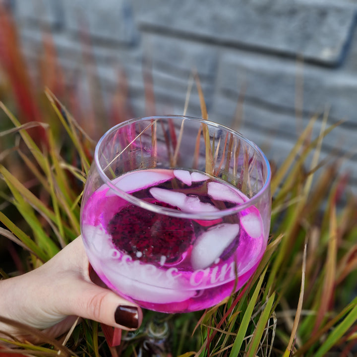 Gedroogde Rode Pitahaya Schijfjes