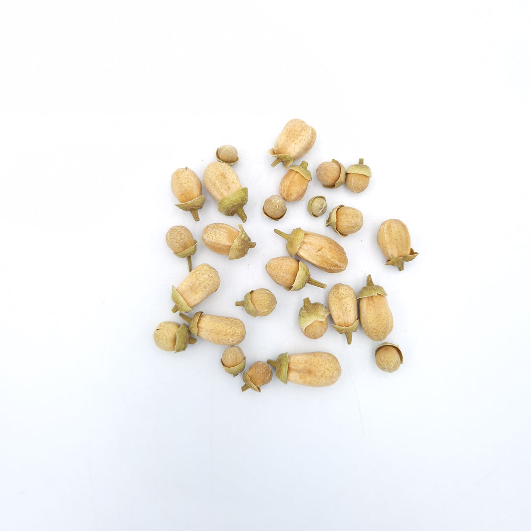 Dried Grapefruit Blossom Buds - Limited-time product