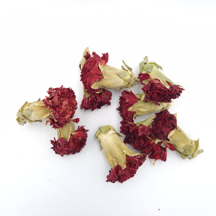 Dried Red Carnation