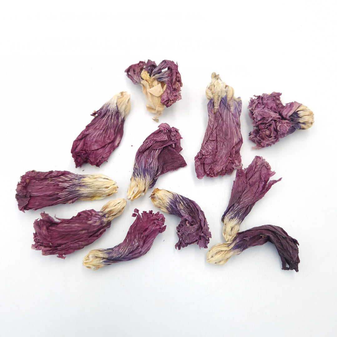 Dried Violet Stock Flowers - Limited Product