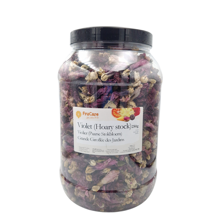 Dried Violet Stock Flowers - Limited Product