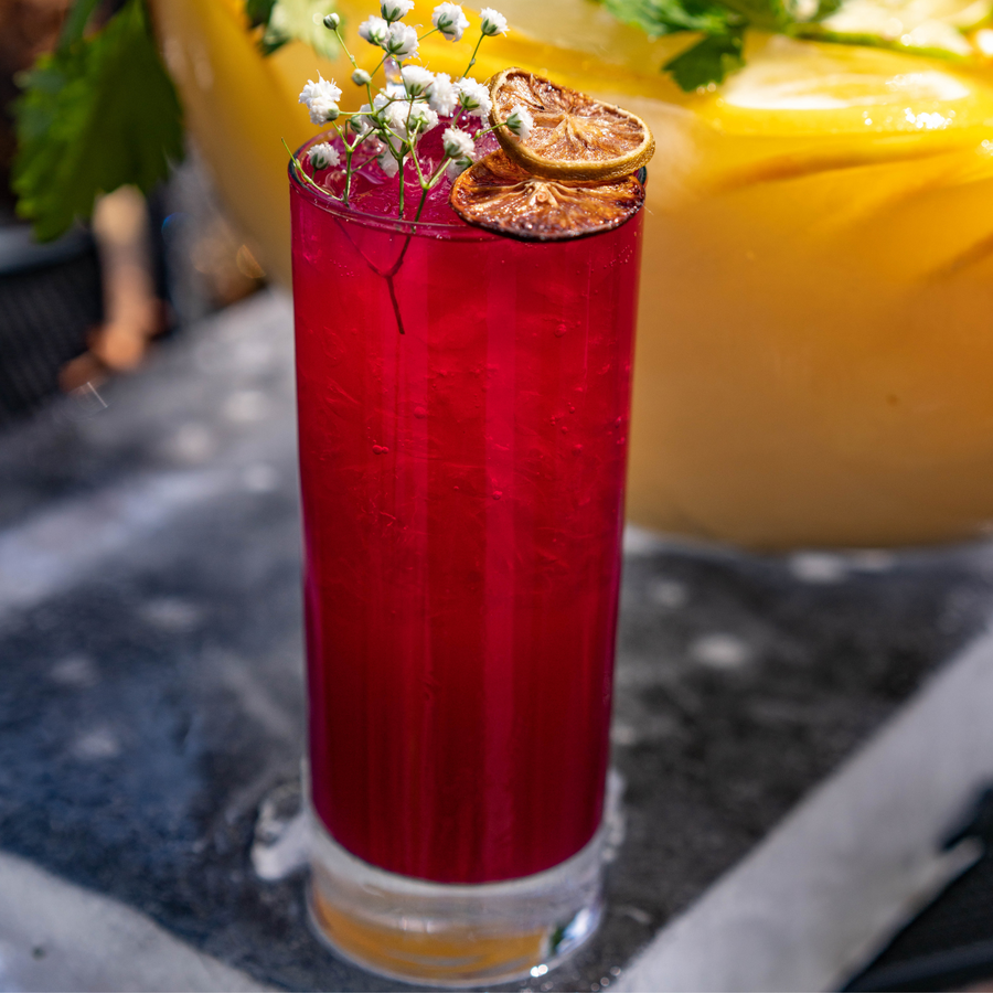 Cranberry-mojito